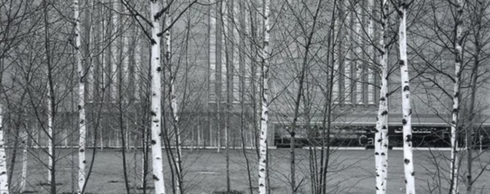 Urban Nature_Foto Christian Vogt