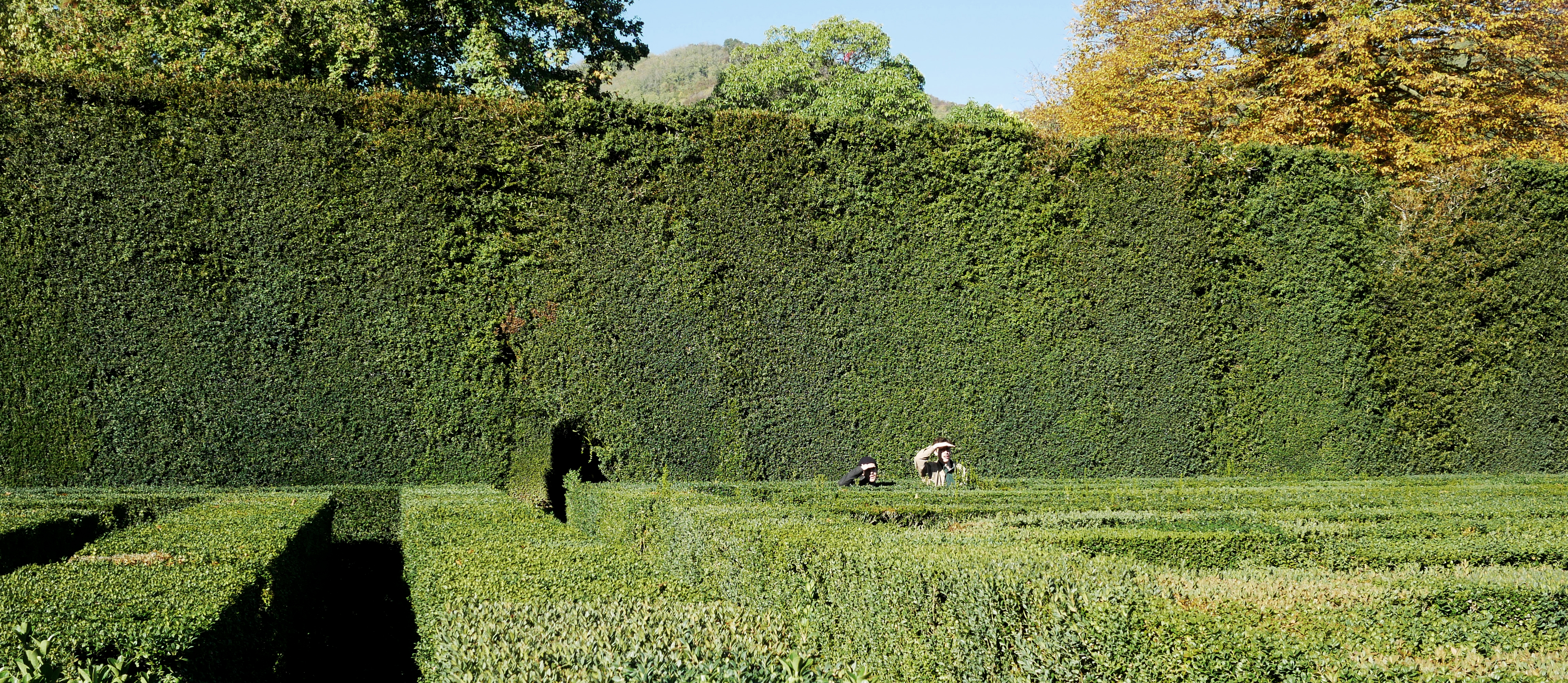 Theorylab-Landscape Architecture-ETH Zürich-Prof. Girot